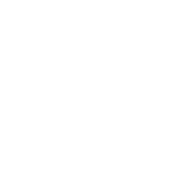 WhaleFin